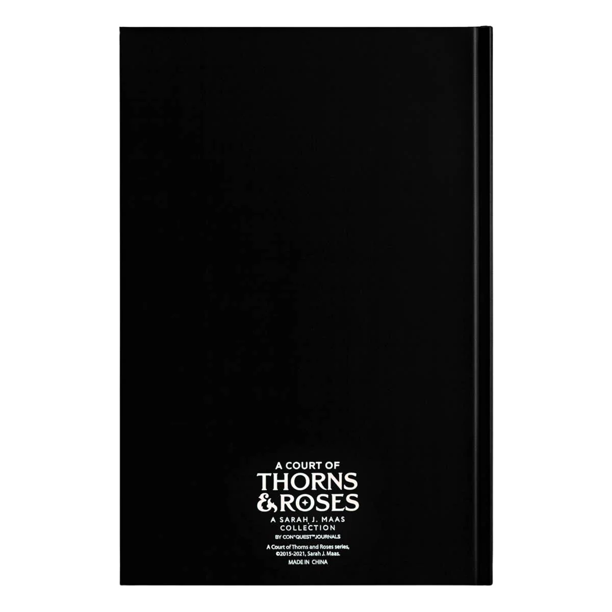 A Court of Thorns and Roses Velaris Journal - Image 12